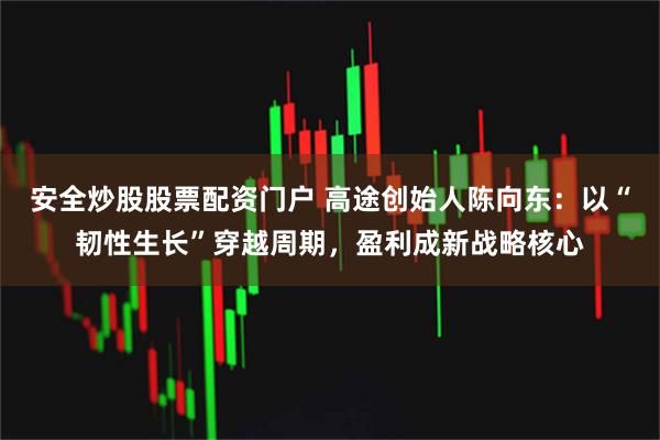 安全炒股股票配资门户 高途创始人陈向东：以“韧性生长”穿越周期，盈利成新战略核心