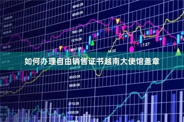 如何办理自由销售证书越南大使馆盖章