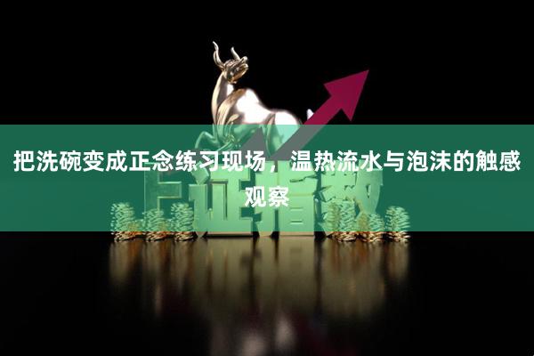 把洗碗变成正念练习现场，温热流水与泡沫的触感观察