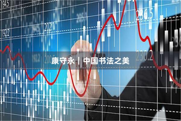 康守永｜中国书法之美